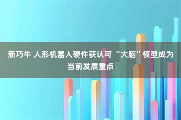 新巧牛 人形机器人硬件获认可 “大脑”模型成为当前发展重点